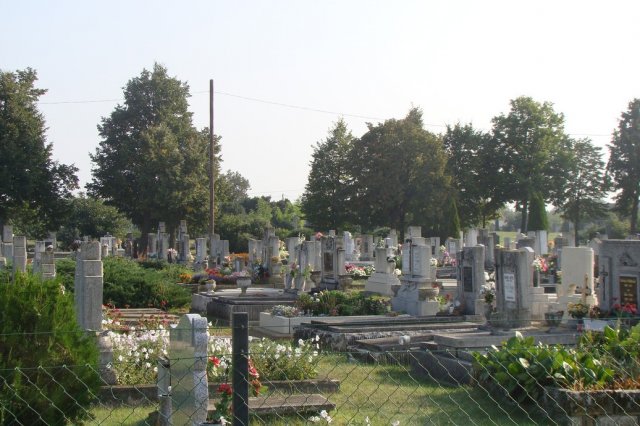 in00015