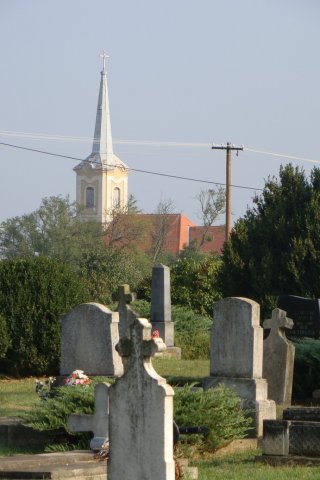in00021