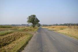 in00005.jpg
