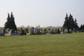 in00020.jpg