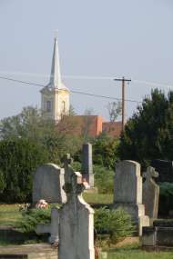 in00021.jpg